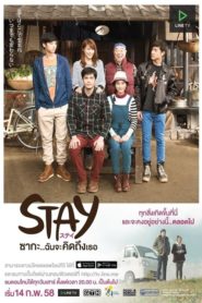 Stay: The Series